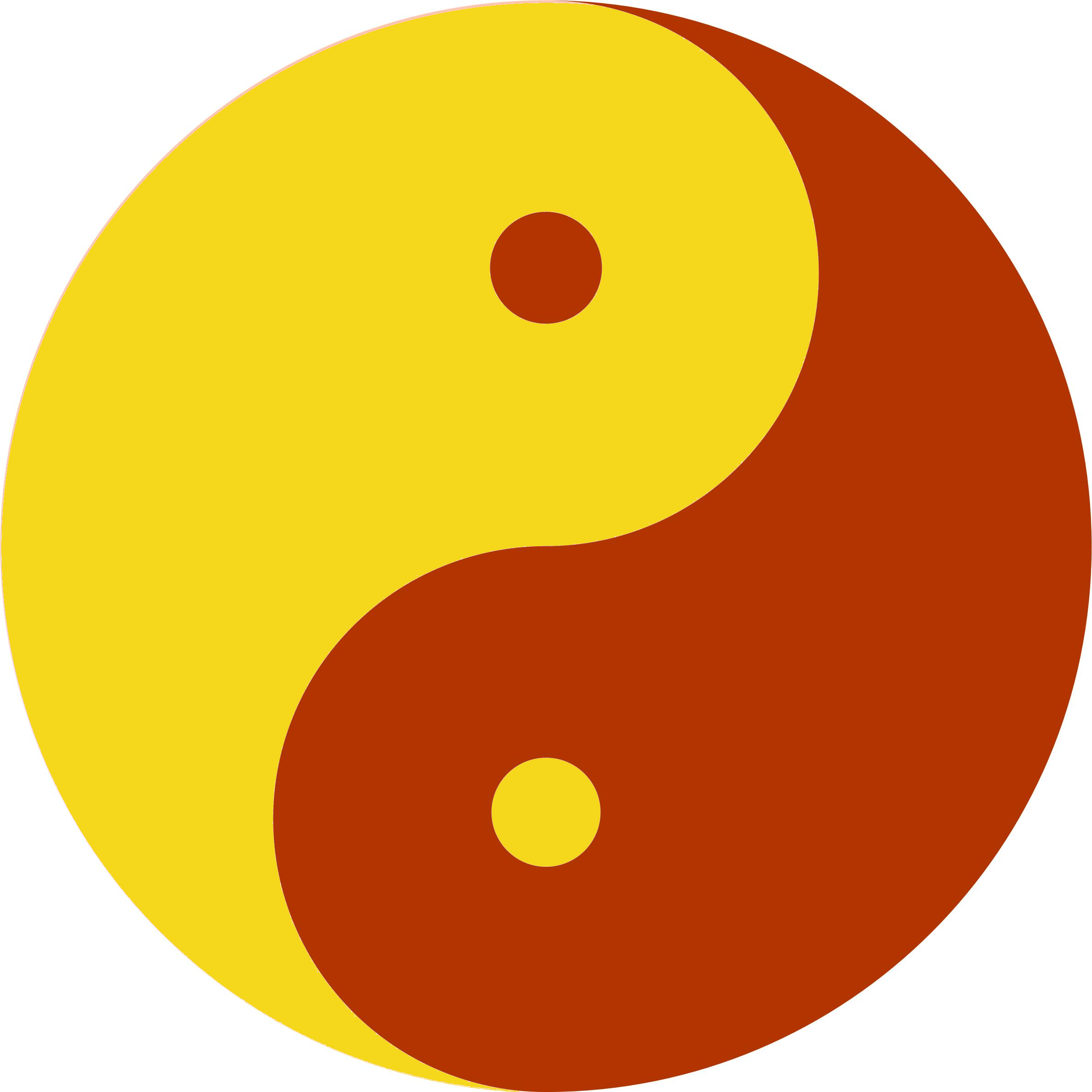 Yin-Yang Symbol (Bildquelle: Steffen Michel)
